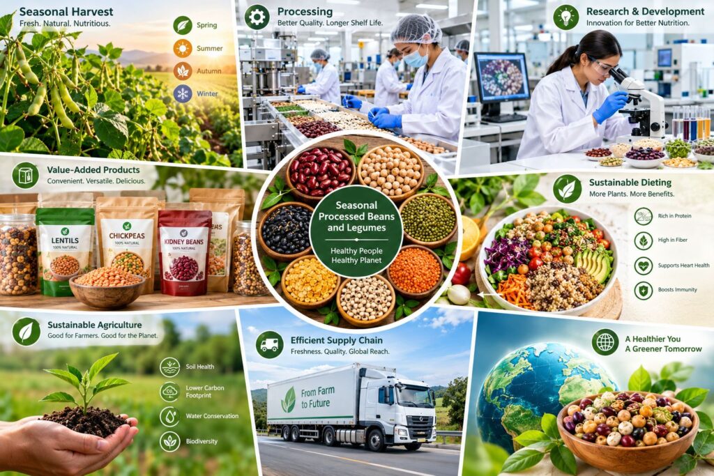 Seasonal processed beans and legumes for sustainable dieting